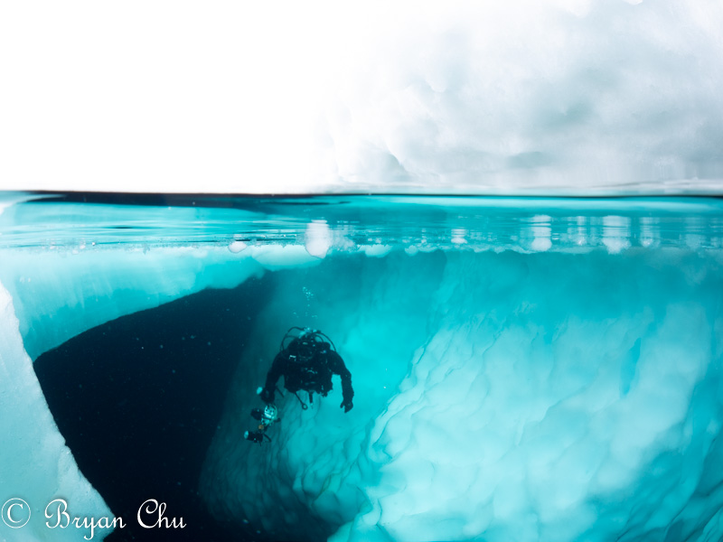 Split shot prior to post-processing. Olympus OM-D E-M1, Olympus 8mm F1.8 Fisheye, Nauticam housing. F/11 1/100 s, ISO 400.