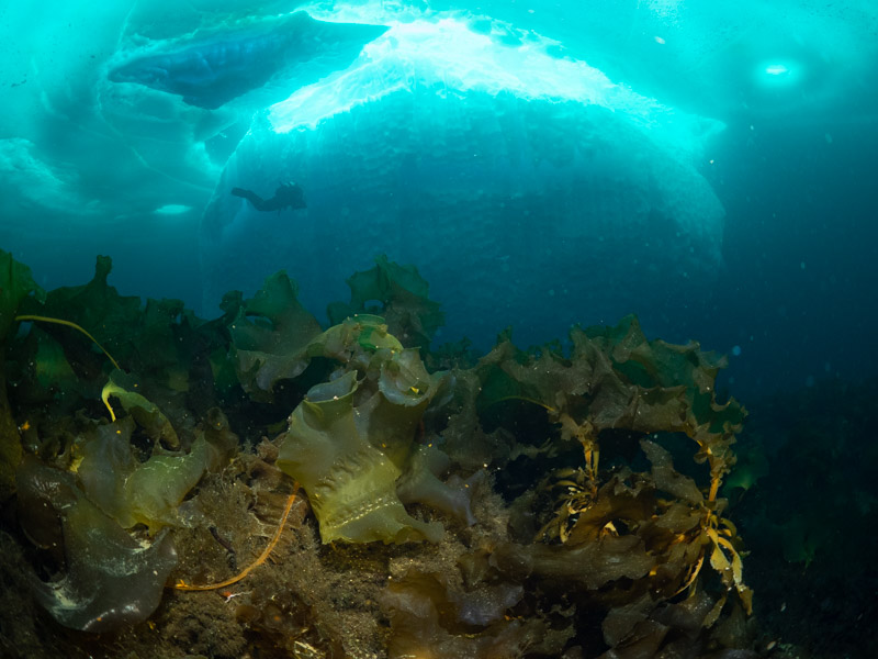 Creeping visibility problem in progress. F/5.0, 1/100 s, ISO 640.