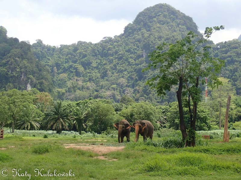 Photo by Katy Kulakowski. Olympus TG-5 in default landscape mode. 18mm focal length. No post-processing.