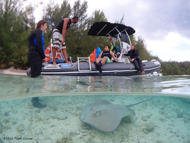 Over-under shot in Moorea by Tom Caruso. Olympus TG-5, Olympus housing, UWL-04 wet wide angle lens. 5.14mm focal length, 1/320 sec, f/3.2, ISO 100.