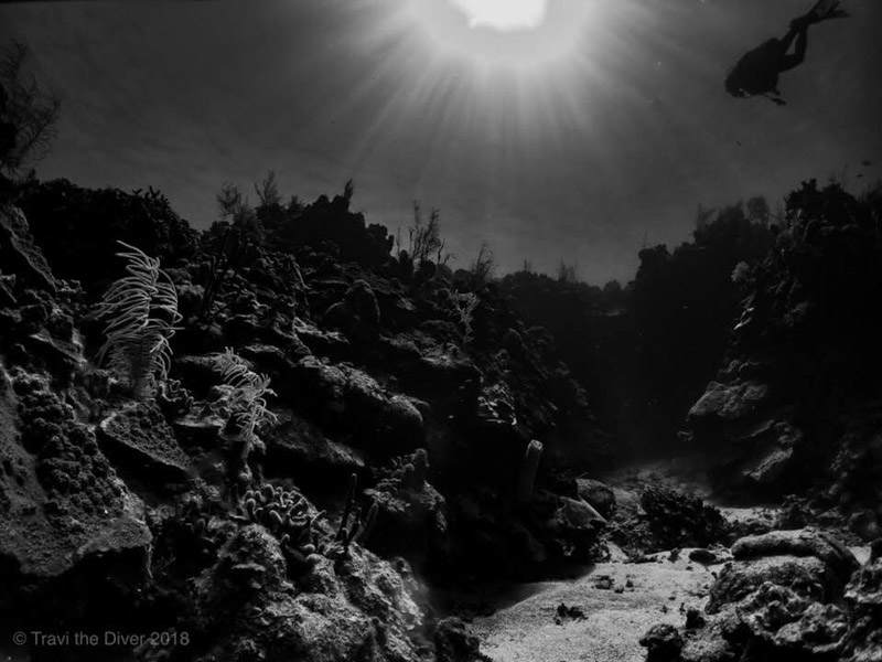 Reefscape by Travis McElveen. Olympus TG-5, Olympus housing, Kraken KRL-02 wet wide angle lens, dual YS-03 strobes. 4.5mm focal length, 1/125 sec, f/8, ISO 100.