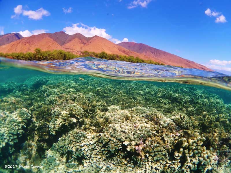 Over-under in Olawalu, Maui. TG-5, PT-058 housing, UWL-04 wet wide angle fisheye lens. 5.14mm focal length (28mm full frame eq), 1/1000 sec, f/3.2, ISO 100.