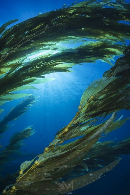 Shadows and highlights contain huge amounts of detail and are able to be pulled back without degrading image quality.