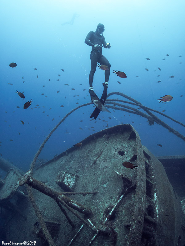 Freediver ascending from the wreck. Olympus TG-5, Olympus housing, Olympus PTWC-01 wet wide angle lens, iDiving video lights. 4.5mm focal length, ISO 100, 1/100 sec, f/2.8.