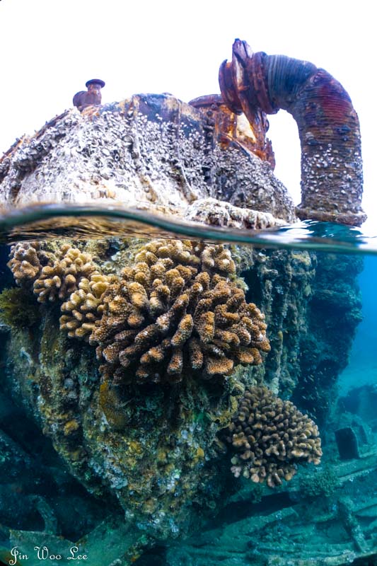 Wreck snorkeling split shot. RX100 V, Nauticam housing, 2x INON D-2000 strobes, INON fisheye lens with dome. 1/250 sec, f/6.3, ISO 640.