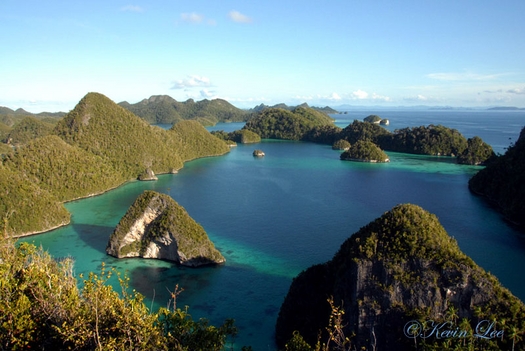 raja ampat underwater photography