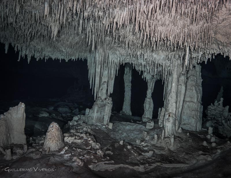 Nikon D-810, Sea & Sea Housing, Nikon AF-S 16-35mm f/4G lens @ 30mm, 2x S&S YS-D1 strobes. 1/125 sec, f/7.1, ISO 250.