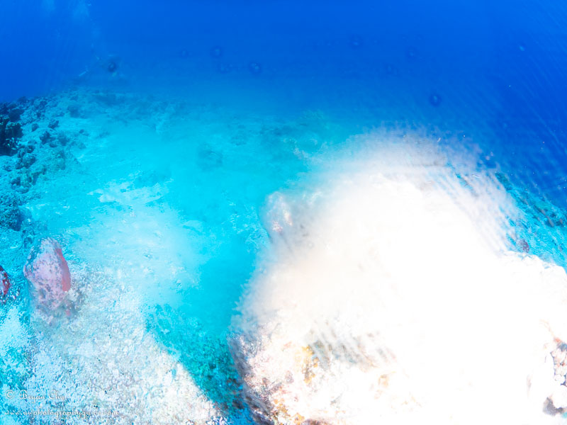 Wow, it sure is foggy down here!