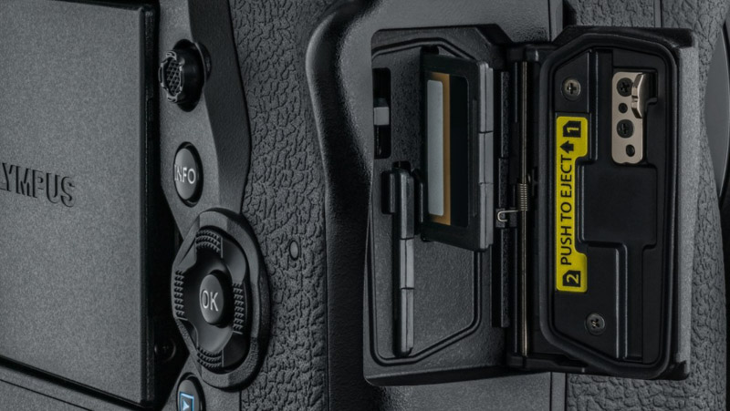 Olympus OM-D E-M1X: Initial Thoughts and Review - Underwater