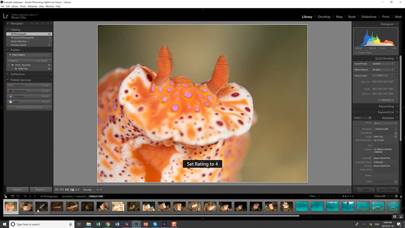 This photo gets a solid 4 from me!