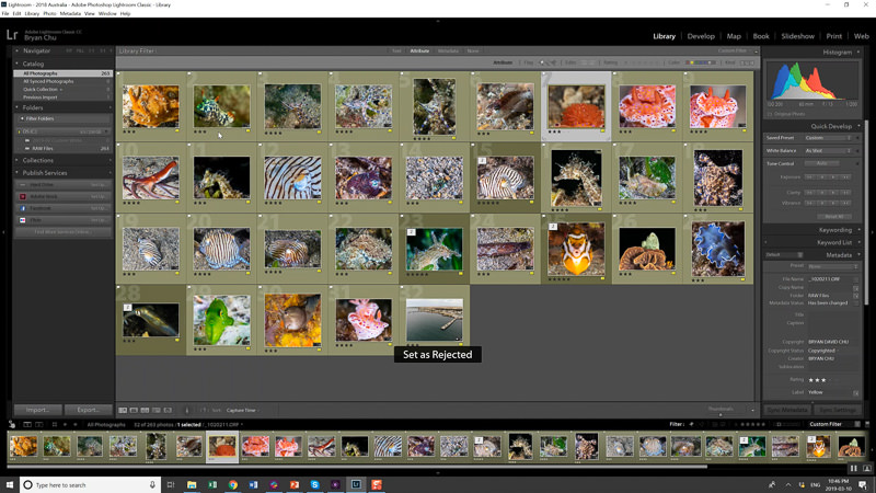 Don't forget to take one final look through the album as a whole. I will often find another couple of photos to cut in this manner.
