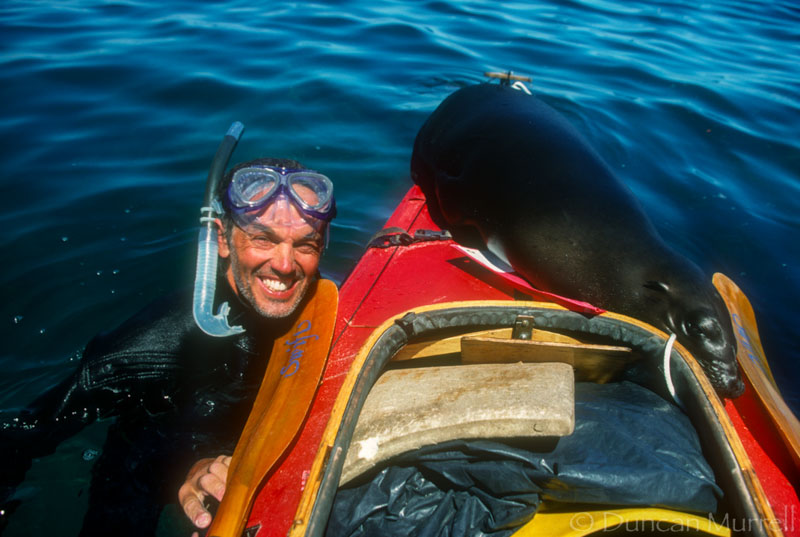 “This was one of the funniest things that ever happened to me on a kayaking trip. I was snorkeling with California sea lions off a famous spot near La Paz in Baja called Los Islotes. A juvenile sea lion was being very playful and mischievous. First, it was grabbing my mask and fins, and then to my great surprise it decided to have a piggyback! It wrapped its flippers around my waist and hung on very firmly while I continued swimming with it on my back. Then after it released me it climbed onto the back of my kayak and went to sleep as if it wanted to go with me. An American kayaker had arrived there and took this photo for me. The sea lion woke up and clambered inside my kayak and it took quite a while to evict it. I would have loved to take it with me as a pet!”