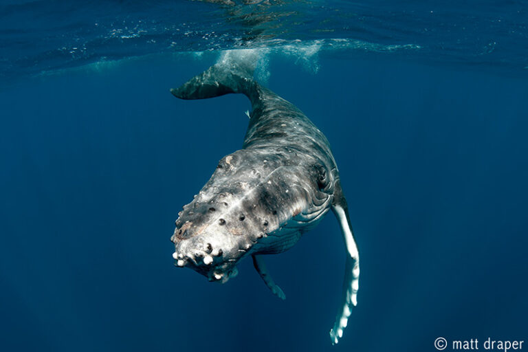 4 Photos with Matt Draper 1