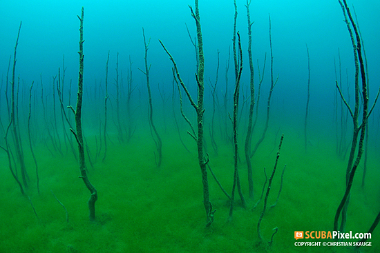 Diving into History: The Flooded Farms 1100-14062012-7784-Lygnstoeylsvatnet