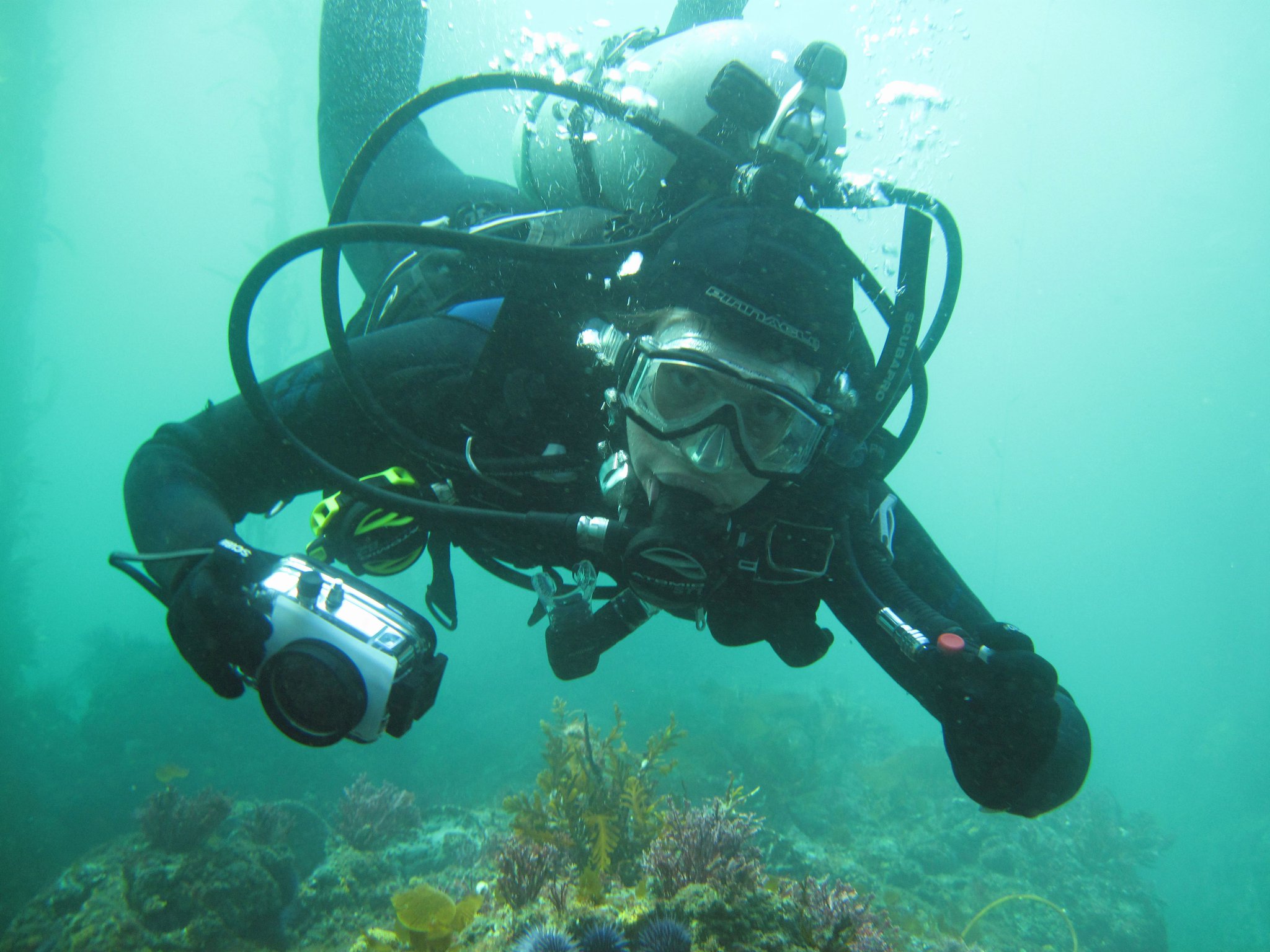 134684_190563494292495_712222_o