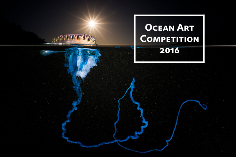 1st-wide-oa16-matty-smith