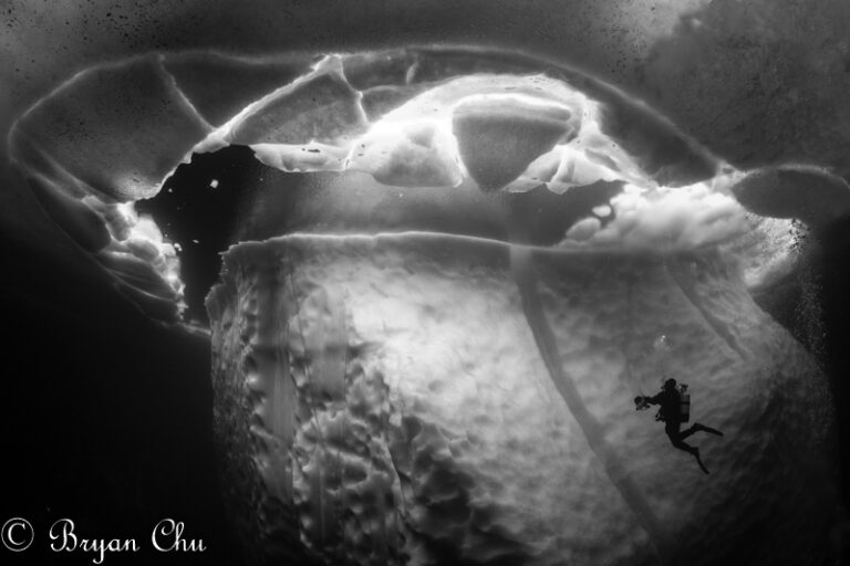 Ice Diving Greenland: A Story of Icebergs, Frozen Critters, and Unique Lingo 2018-05-01-BCGreenland-8