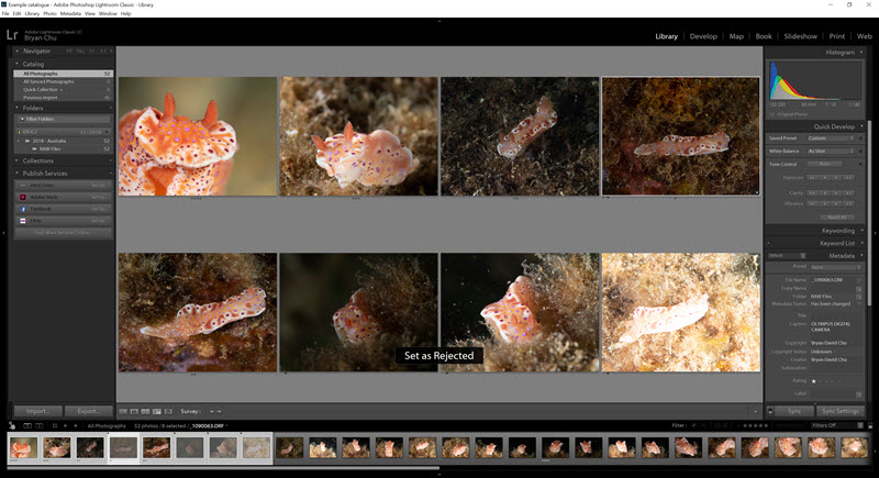2019-03-10-BCCulling01