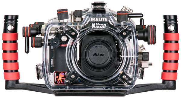 First Impressions: Nikon D800 and Ikelite housing 6812