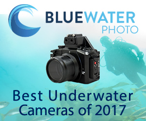 BWP_300x250_Jan17-02