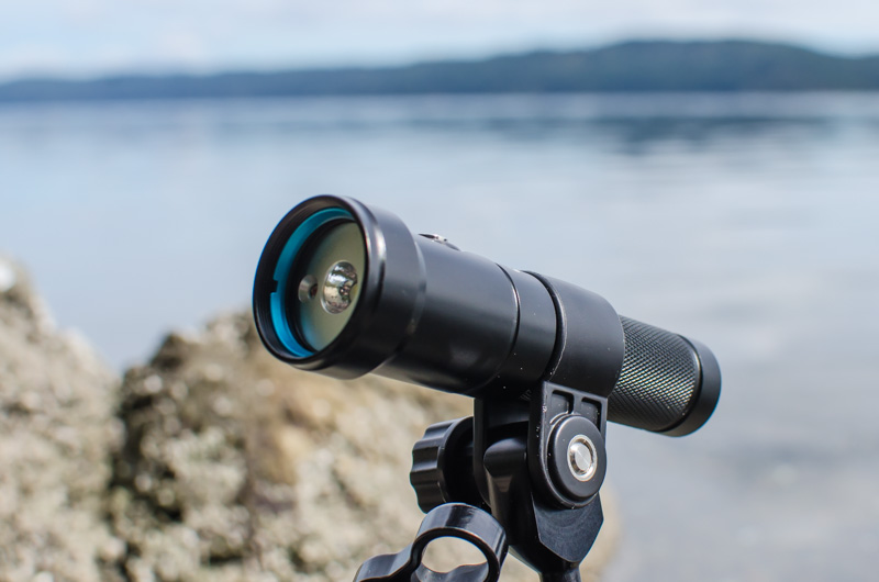 Bluewater Photo 1000 Lumen Focus Light