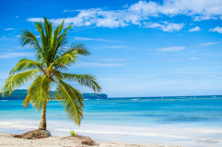 Beyond the Resorts: Diving in the Dominican Republic _DSC6861