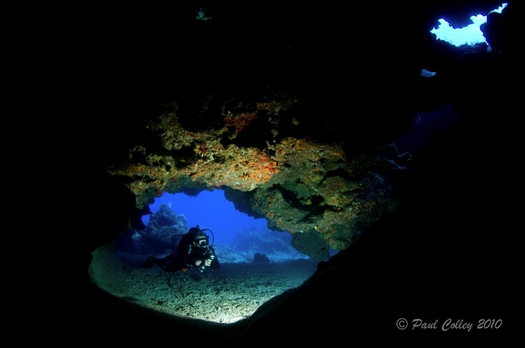 Stories from a Underwater photo workshop