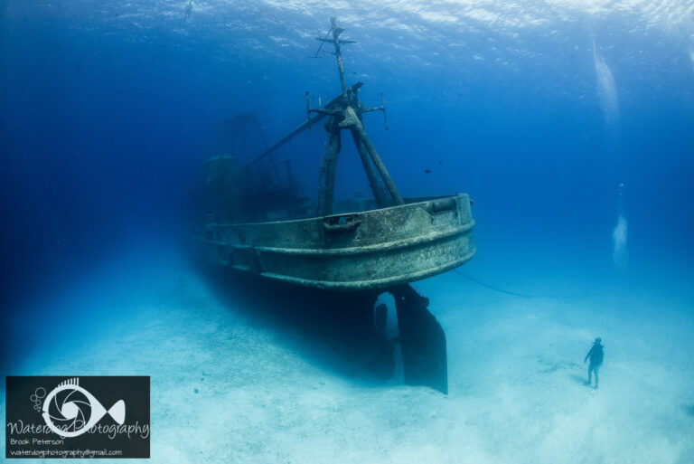 Picture Perfect: What Makes a Good Image Great Featured Image and Image 5