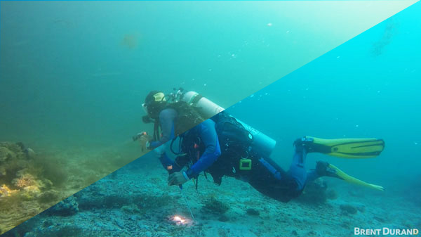 Best Compact Cameras of Summer 2016 Header-Image