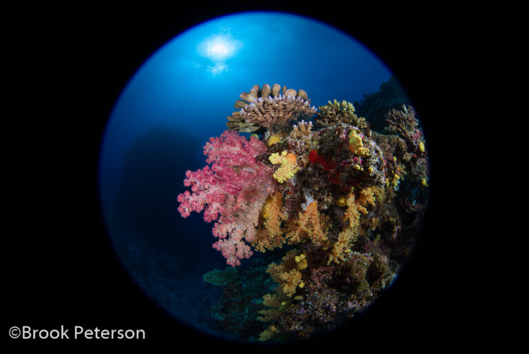 First Impressions: Nikon 8-15mm Fisheye Lens Review Image 1