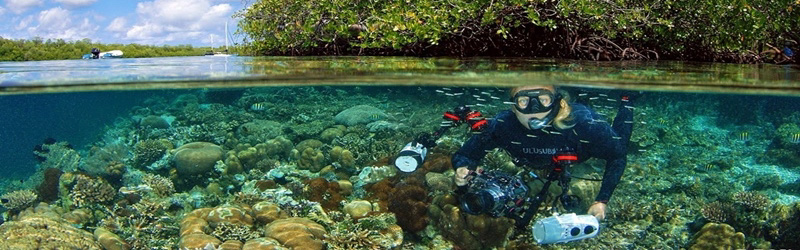 Keynotes-Misool--Header-Option-2