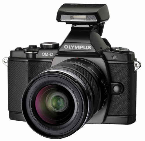 Best Underwater Settings for the Olympus OM-D E-M5 Camera OMD_best_flash (1)