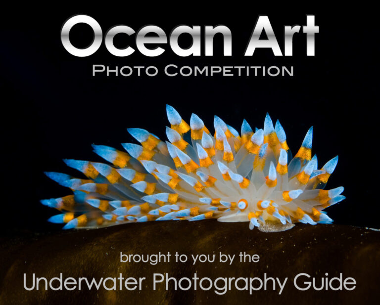 Ocean Art Photo Competition 2015 Judges Comments Ocean Art logo