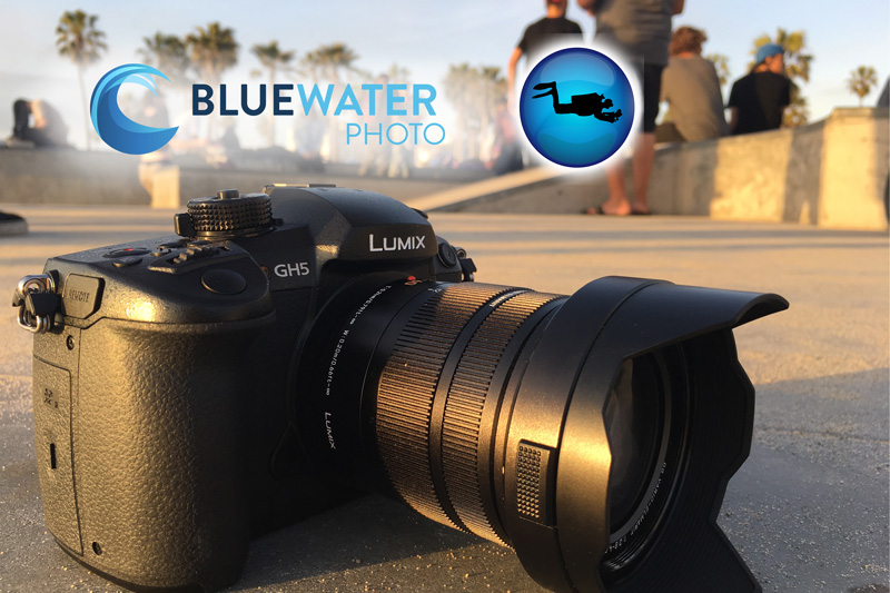 Panasonic GH5 Camera Review - Underwater Photography Guide
