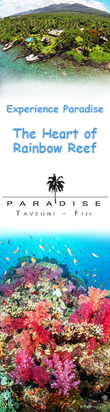 Paradise-Taveuni-ad-uwpg-160x600-2