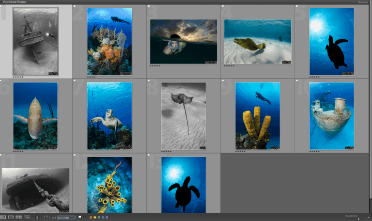 5 Easy Steps To Process Your Underwater Photos Screen Shot 2013-04-27 at 11