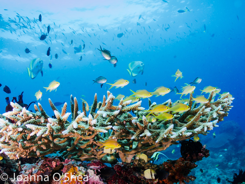 Epic Photo Destinations: Solomon Islands