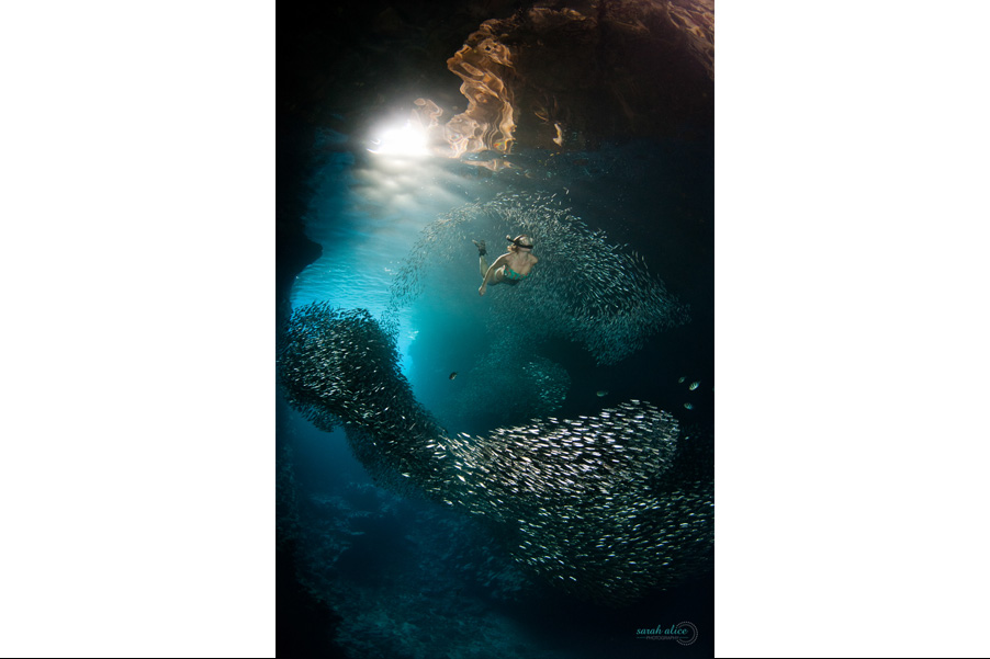 Swallows-Cave-freediver-sarah-alice-lee