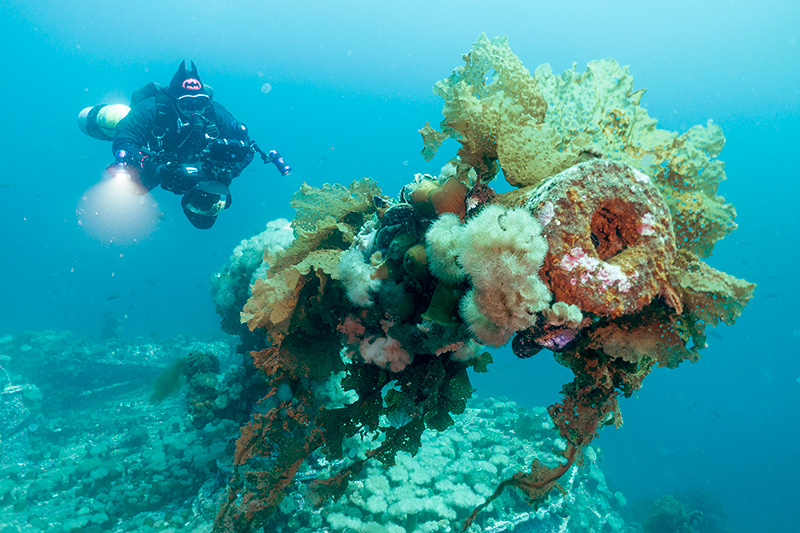 Video: The Wrecks of Bell Island