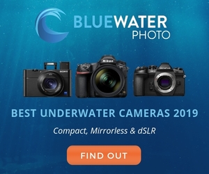 UWPG Box Ad - Best Cameras 300x250