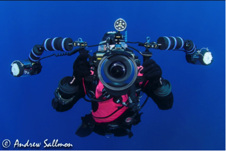 Photos taken by Wayne Davis/Atlantic White Shark Conservancy