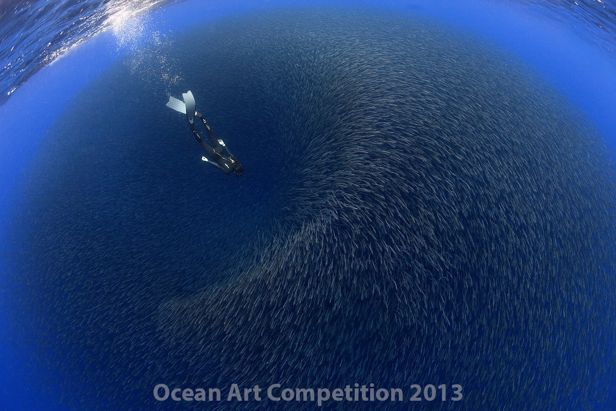 WideAngleOpen_1st_FRANCISPEREZ