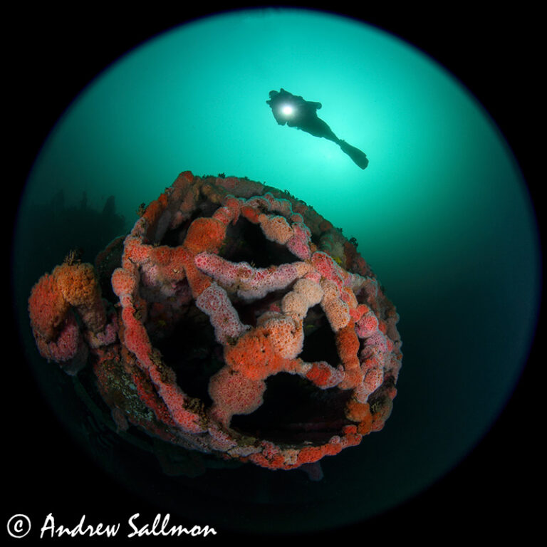 Review: Canon 5D MK IV in Aquatica Housing Wreck-Scenic---Yukon-1835-Edit
