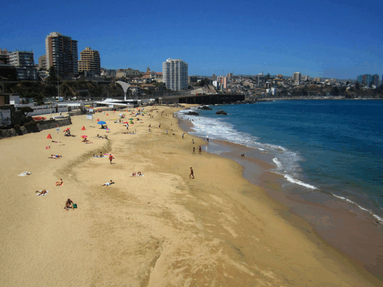 Dive Adventure: Valparaiso, Chile chile-diving-1