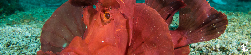 constant-lighting-photo-tutorials