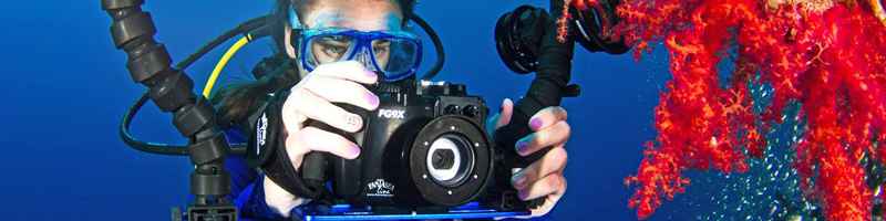 fantasea-fg9x-header