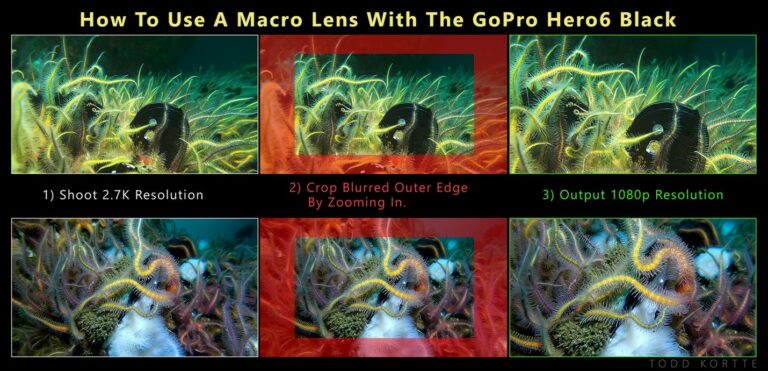 GoPro Hero 6: How to Shoot Underwater Macro Video image