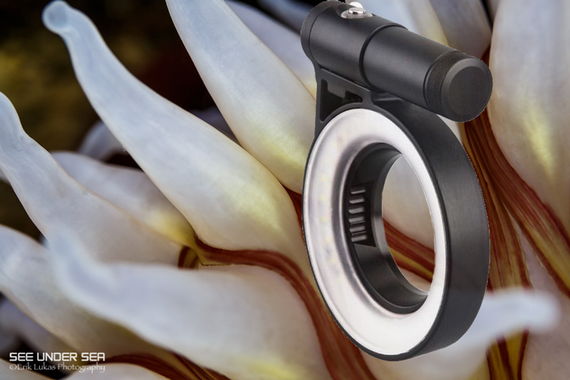 kraken-ring-light-review-header