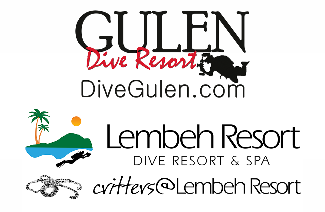 lembeh_gulen_logos