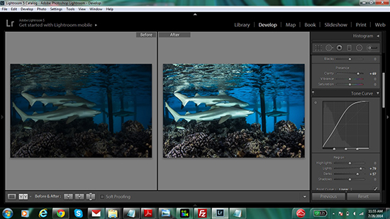Lightroom for the Rest of Us lightroom-before-after-550